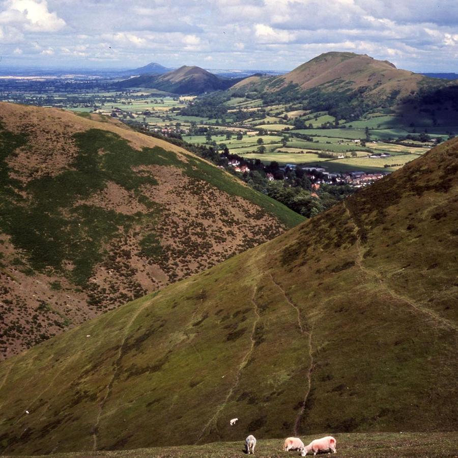Victoria House Hotel Church Stretton Bagian luar foto